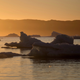 Image for article titled Turns Out a Wild Geoengineering Plan to Refreeze Arctic Sea Ice Isn't the Best Idea